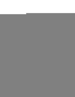 Couteau Pliant Boker Magnum Magnum Snake Rangebuster Damascus